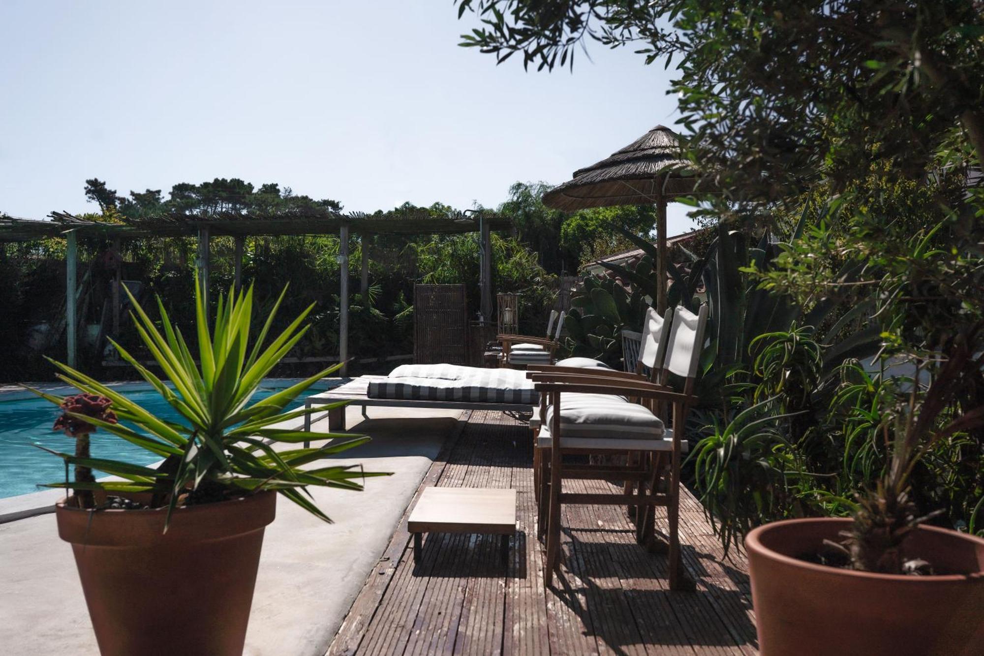 Joao Jungle Apartment Acafora Exterior photo